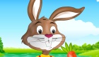 juegos vestir : Juego de vestir a un conejo