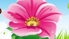 decoración : Juego de decoración de flores