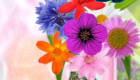 Decorar un jarrón de flores