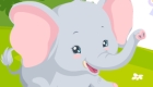 gratis : Cuidar a elefantes