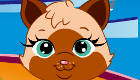gratis : Peinados de mascotas