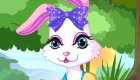 vestir : Preciosas mascotas para chicas - 4