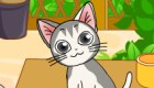 gratis : Un gato como mascota