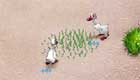 gratis : Juego de Farmkids