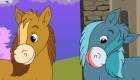 gratis : Caballo y yegua