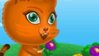 gratis : Un gato en un laberinto