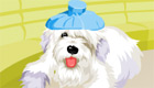 decoración: Juego de chica veterinaria