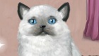 gratis : Juego de cuidar a un gato