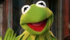 famosos : The Muppets