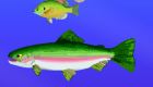 gratis : Peces en el mar - 11