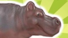 gratis : Juego de Pat y Stan