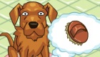 gratis : Peluquería de perros