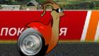 Turbo, el caracol más rápido del mundo