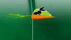 gratis : Juegos de Bugs Bunny