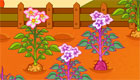 cocina : Cocina y jardinería