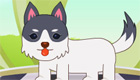sorpresas: Jewelpets