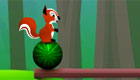 sorpresas : Juegos de ardilla