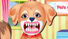 Un perrito en el dentista